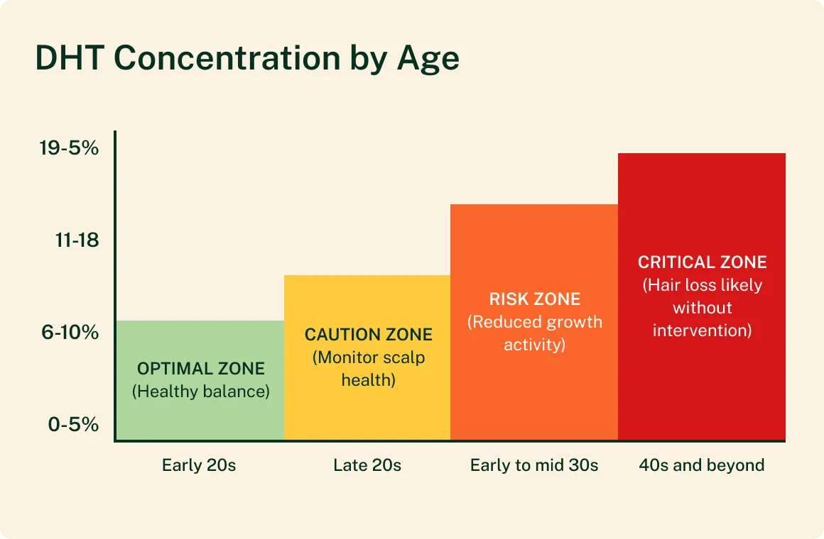 Educational chart about DHT concentration by age